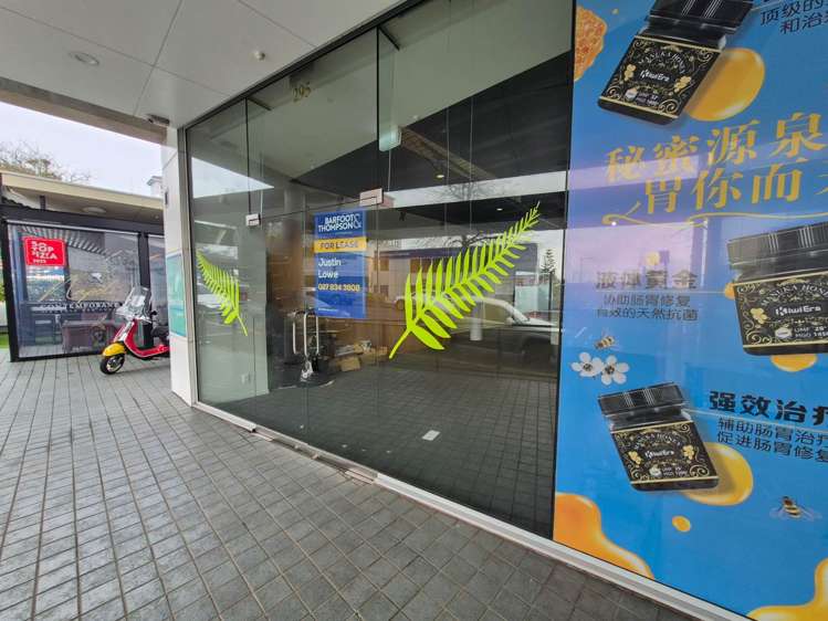 295-303 Parnell Road Parnell_13