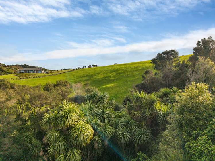Lot 15 Daniel Parade Mangawhai_6