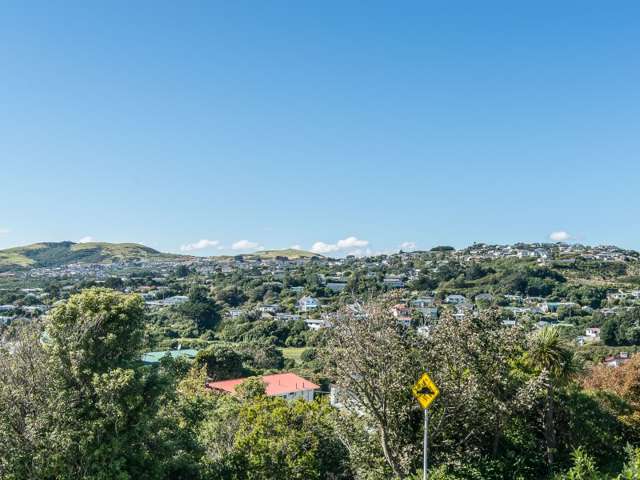 5 Hawtrey Terrace Johnsonville_1