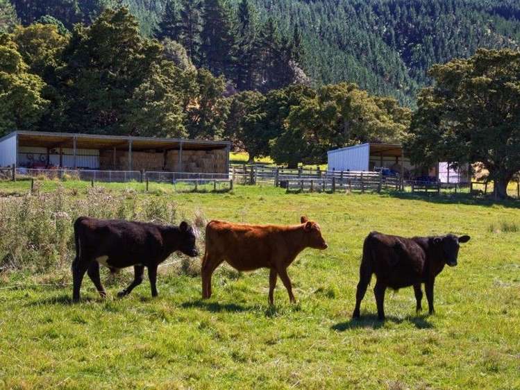 116 Para Road Picton_4