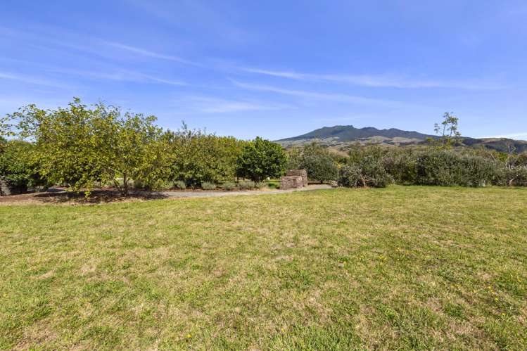 11 Somerset Lane Raglan_5