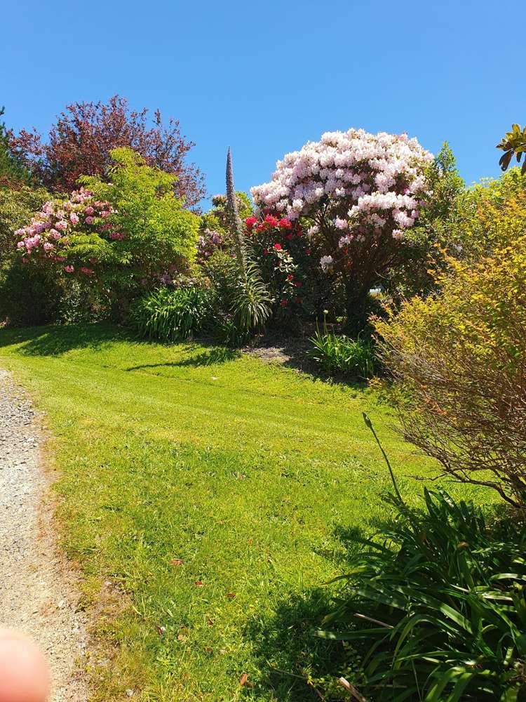 495 Towai Road Waione_23