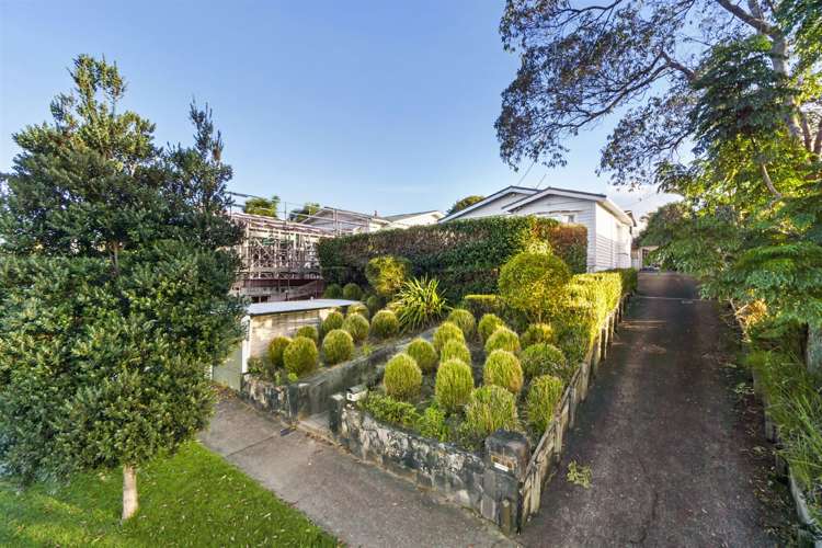 50 Kiwi Road Point Chevalier_41