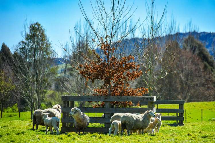 304 Paparimu Road Hunua_19