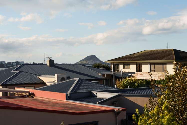 306B Maungatapu Road Maungatapu_16