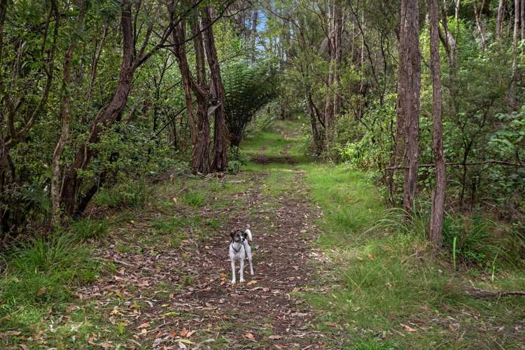 245 McCoy Road Wainui_26