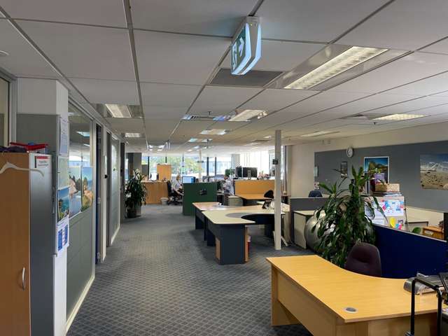 4 Albert Street Central Whangarei_2