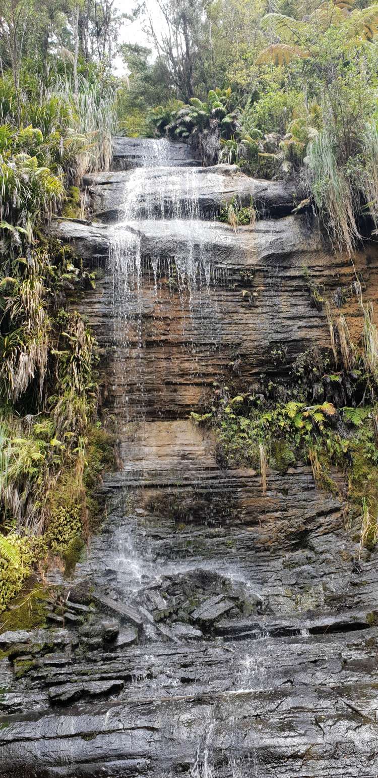 448 Moir Hill Road Warkworth_18