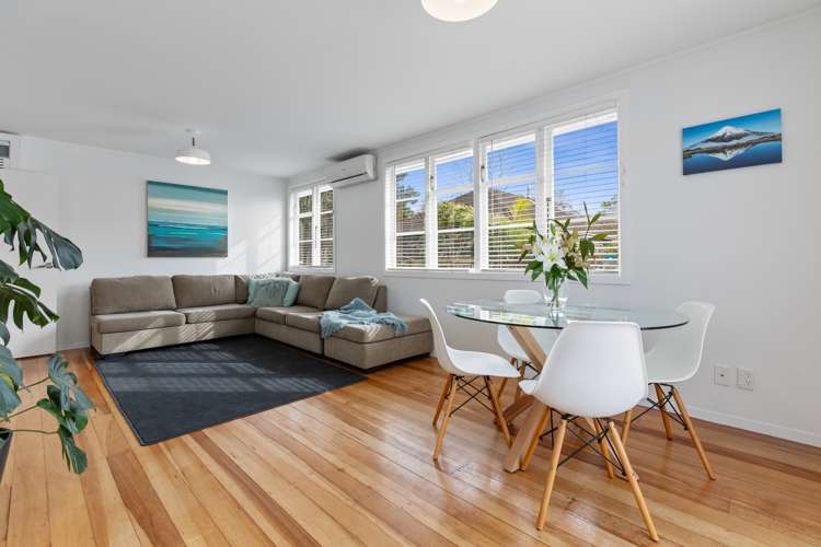 7 Camden Street Vogeltown_5