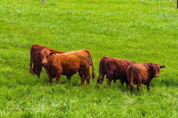 67 Taipuha Settlement Road Paparoa_57