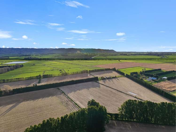 142a College Road Edgecumbe_22