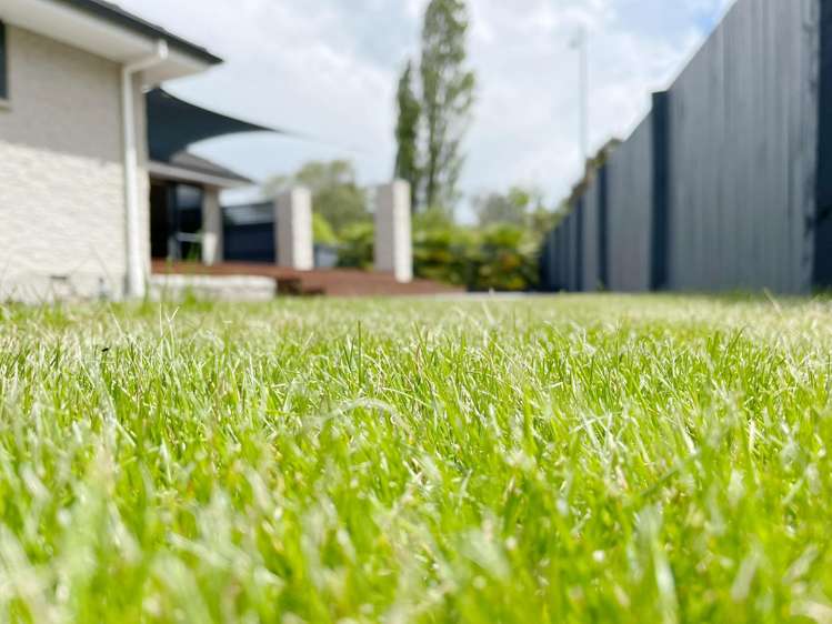 50 Lake Terrace Road Burwood_25