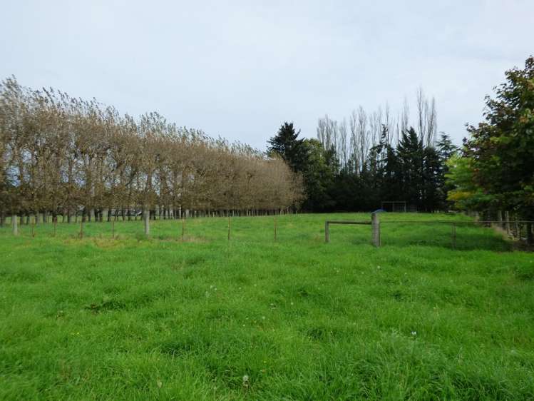 406 Racecourse Road Allenton_12