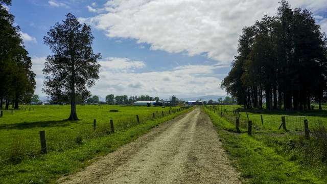 300 Fisher Road Paeroa_4