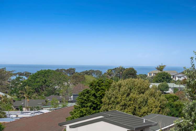 29a Little Barrier Avenue Manly_29