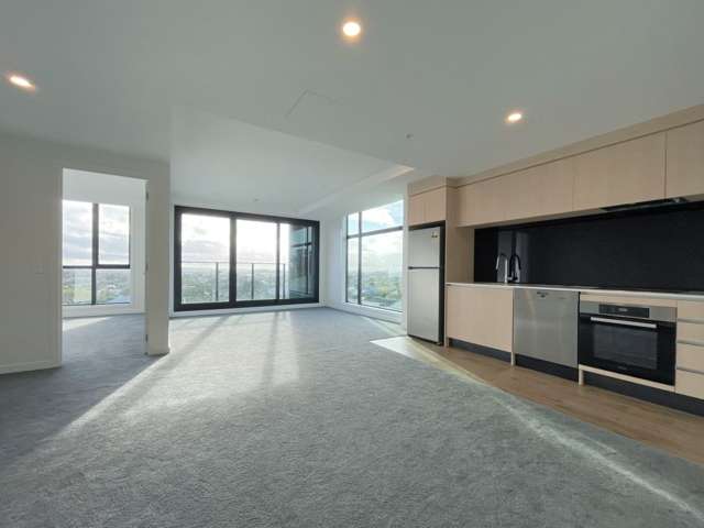 Brand New  Sunny , Spacious, 2 Bedroom, 2 Bathroom Apartment in Mt Eden