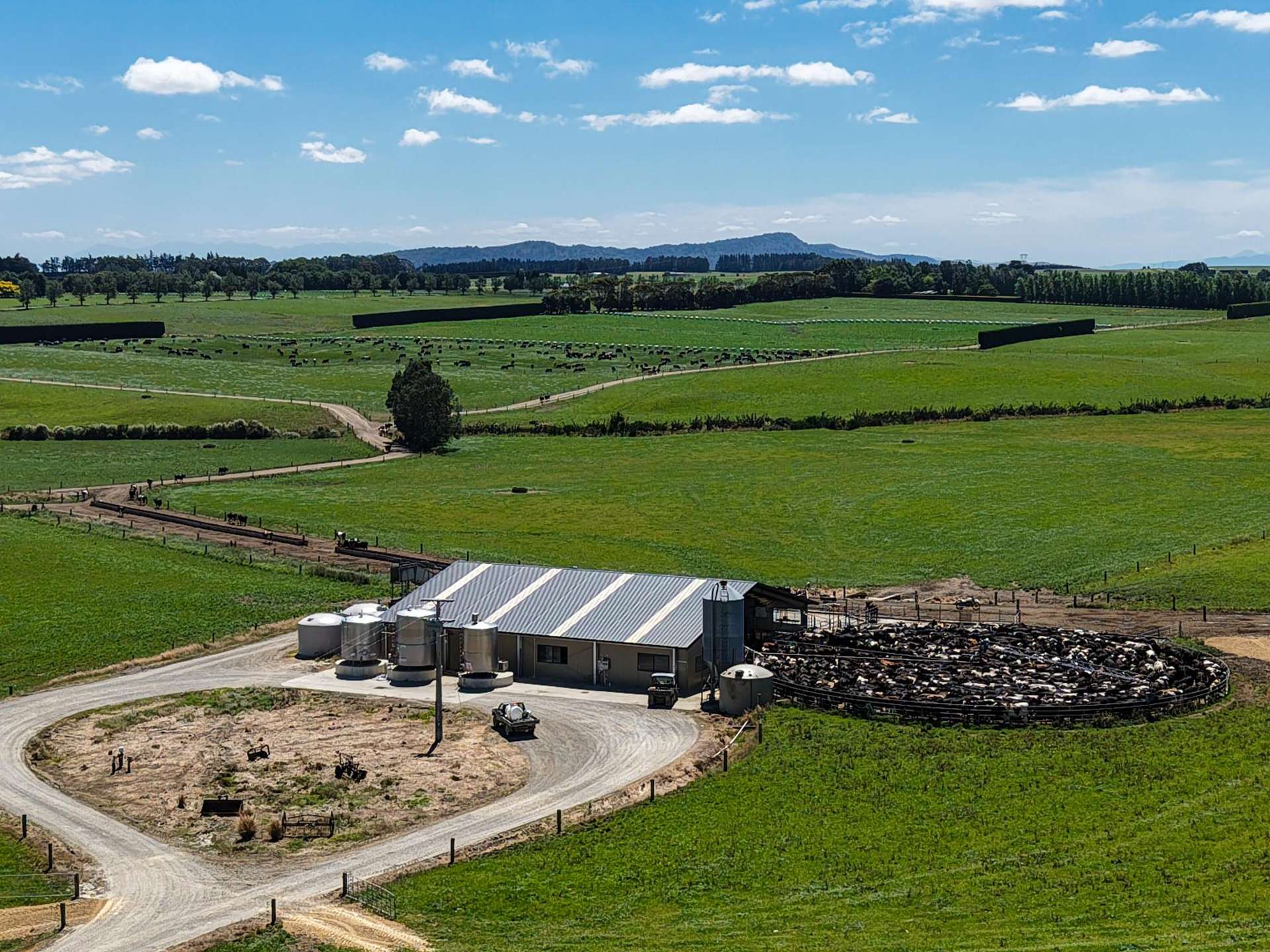 251 Rakahouka Hedgehope Road Mabel Bush_0