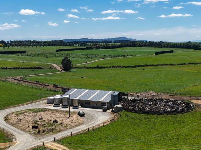 Tier One Scale, Proven Performer, Prime Location