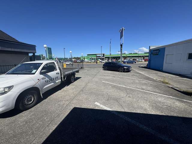 25 Carlyle Street Napier South_3