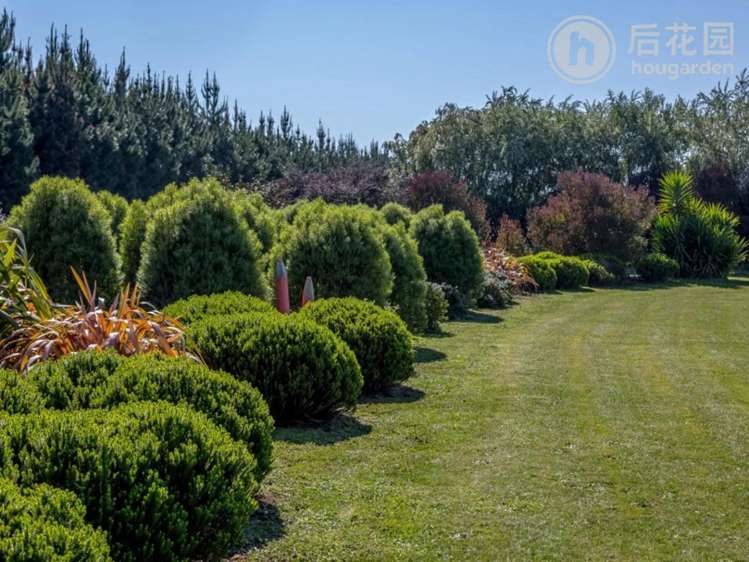 3669 State Highway 2 Carterton_10