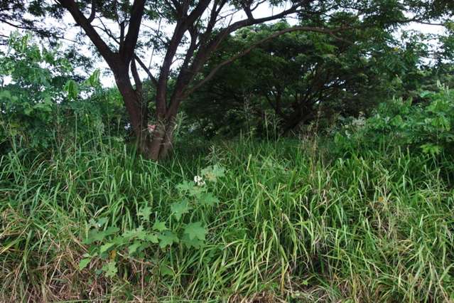 Address withheld Nadi_3