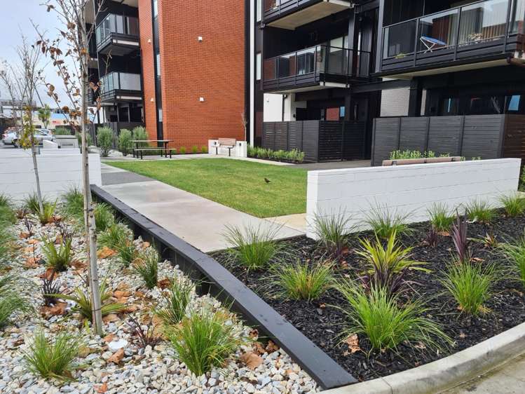 8/182 London Street Hamilton Central_10