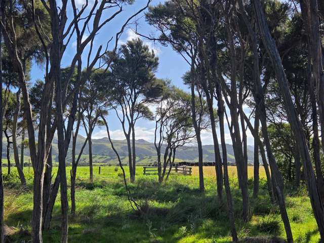 13/600 Conway Flat Road Cheviot_3