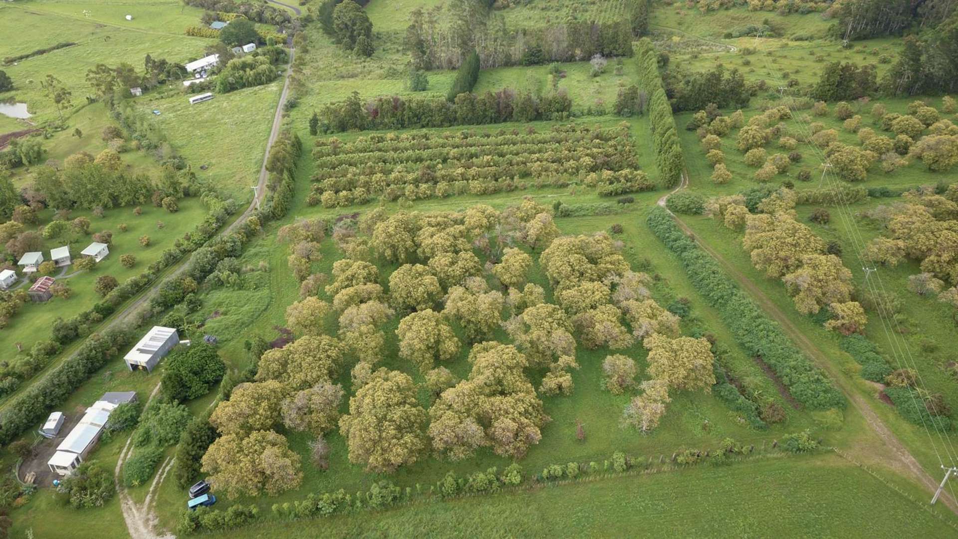 405 Tara Road Mangawhai_0