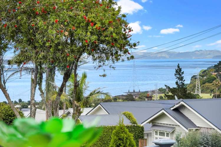 61 Quadrant Road Onehunga_1