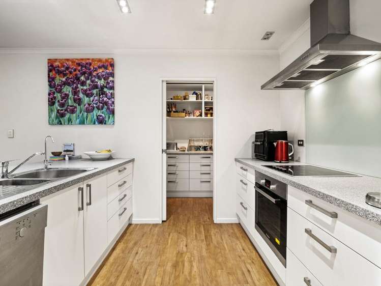 52 Douglas Street Allanton_8