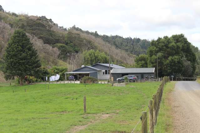 652 Piko Road Okoki_1