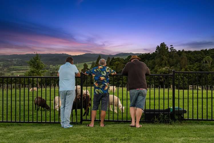 231 Brooks Road Waipu_41