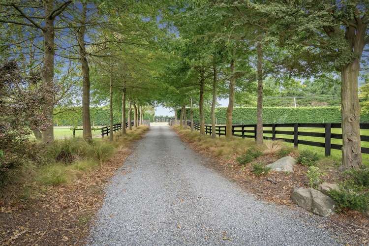 153 Chattertons Road Templeton_2