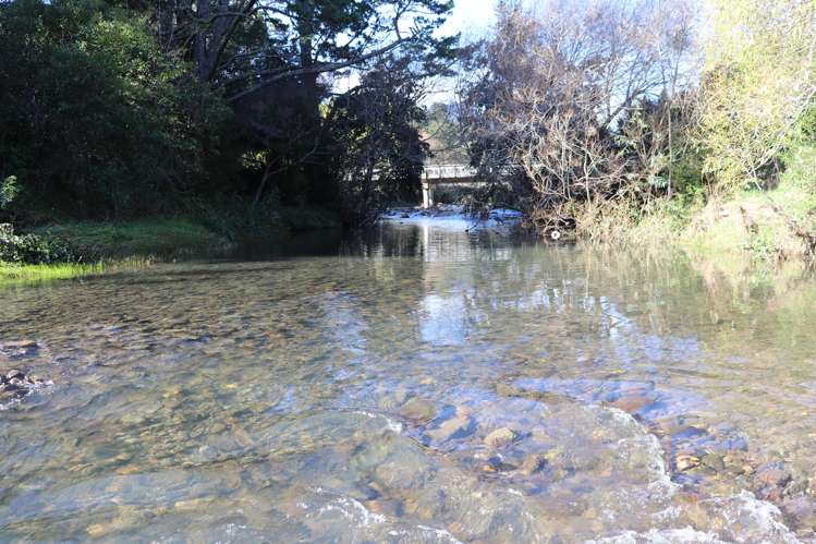 163 and 165 Tapu Coroglen Road Tapu_9