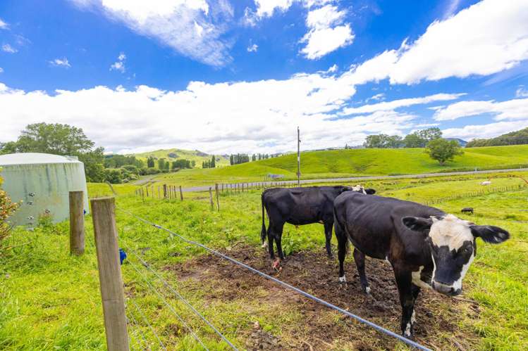 680 State Highway 4 Te Mapara_13