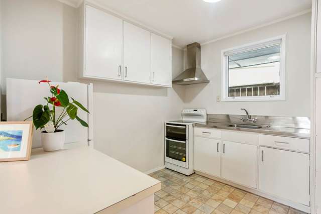 29b Mark Road Mount Albert_2