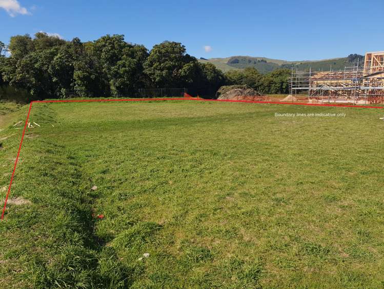 42 Okaia Drive Kinloch_5