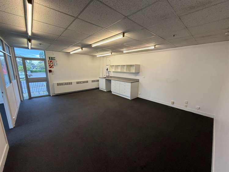 569 Wairakei Road Burnside_5