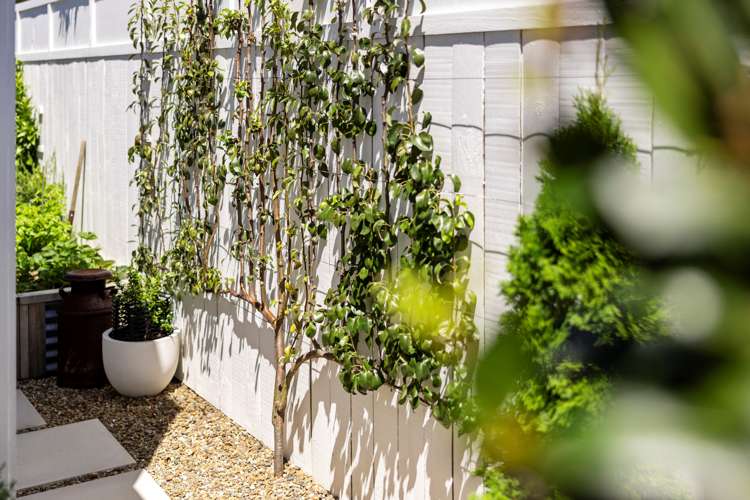 88c The Boulevard Papamoa_20