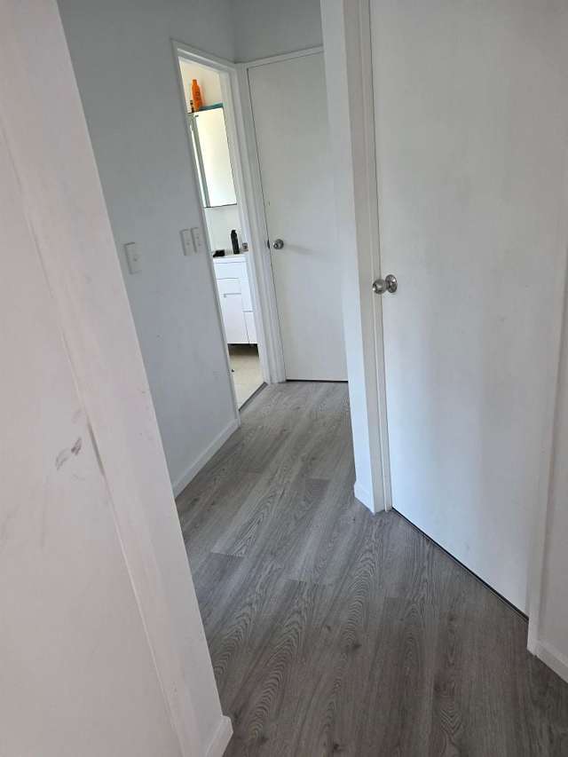 53D York Street Hamilton East_3