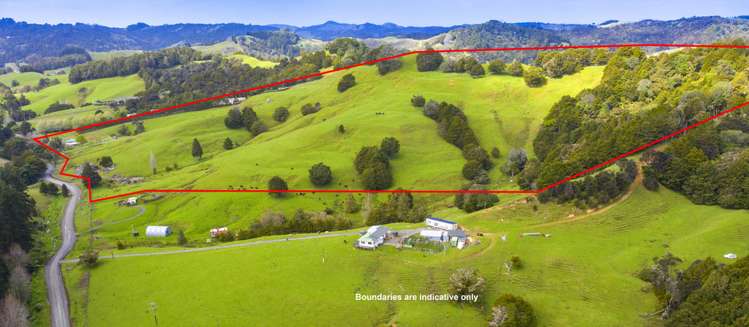 427 Upper Waiwera Road Puhoi_23