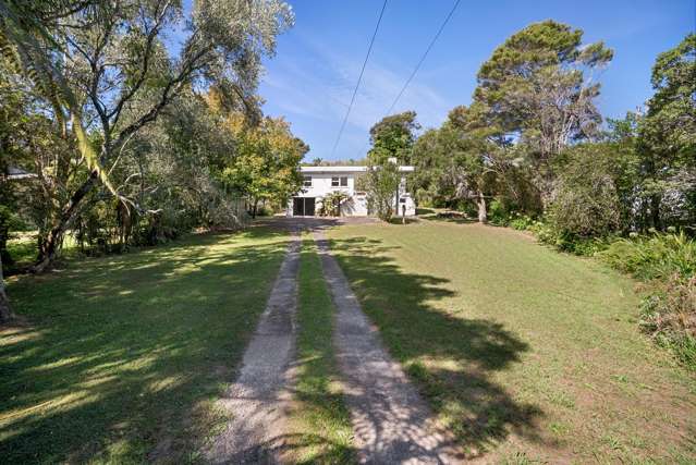 Titirangi | Professionals