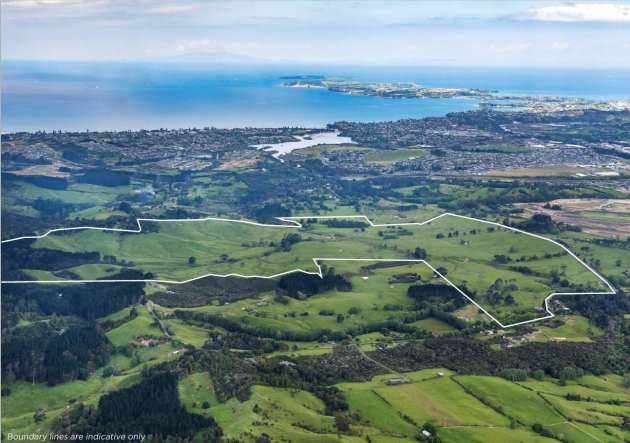 green field and white house with garage 86 Matija Place, Red Beach, Rodney, Auckland