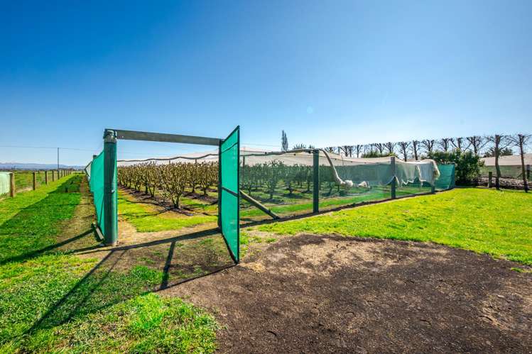 16 Arowhenua Station Road Kerrytown_64