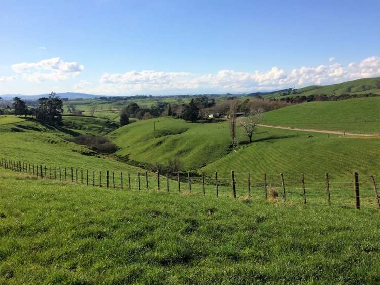 198 Harbottle Road Morrinsville_13