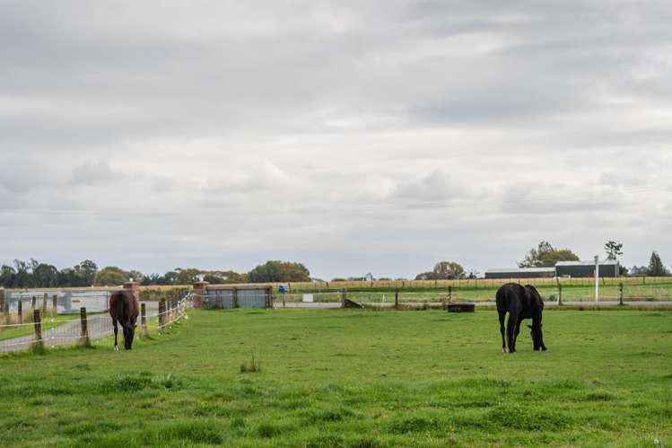 131 Station Road Temuka_19