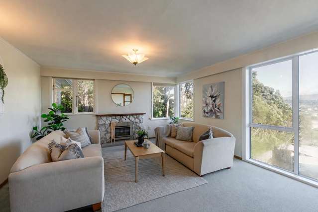 71 Nevay Road Miramar_3