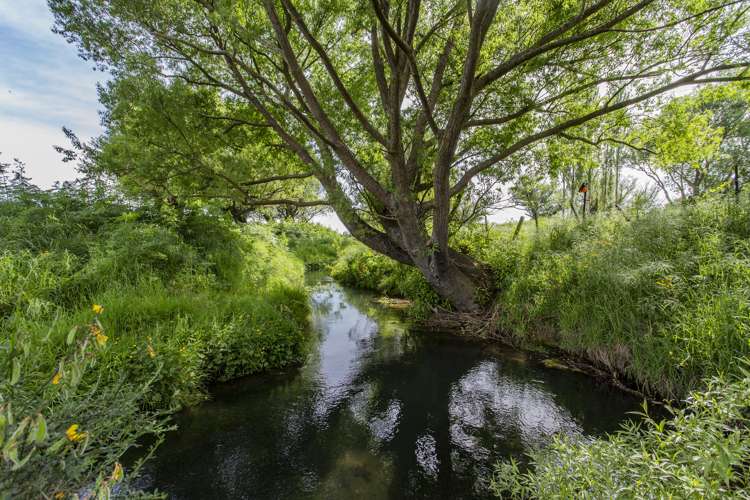 162 Toppings Road Sefton_8