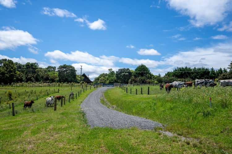 419 Owhiwa Road Parua Bay_8