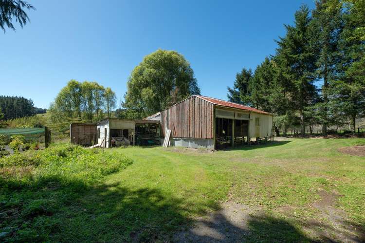 569 Paradise Valley Road Ngongotaha Valley_18